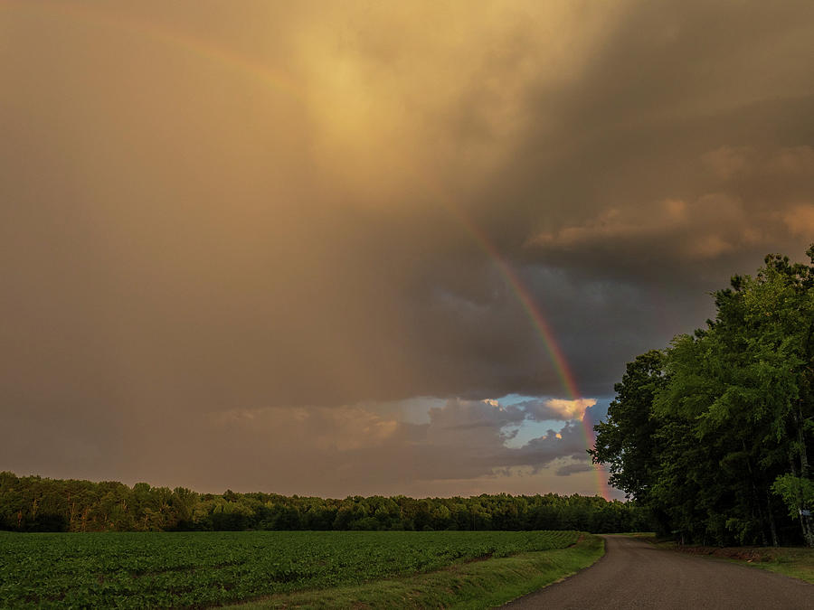 Summer Photograph - Rainbows End, Nutbush Virginia by Robby Batte