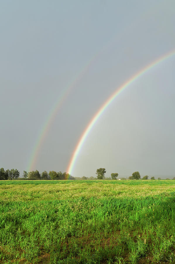 Rainbows over farmland Photograph by Angelo DeVal