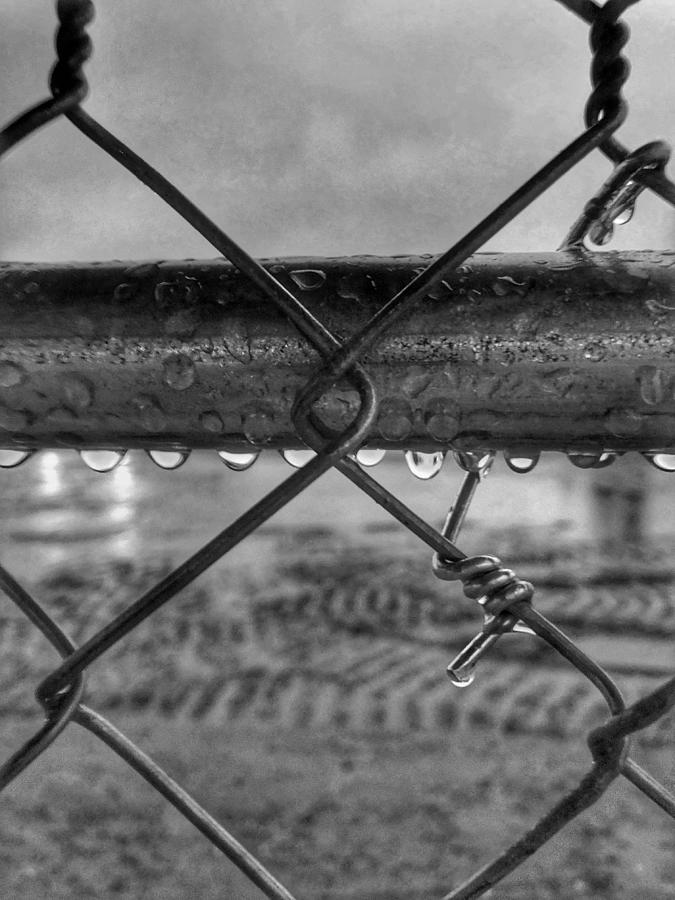 Raindrops on Fence in Black and White Photograph by Michael Dean Shelton