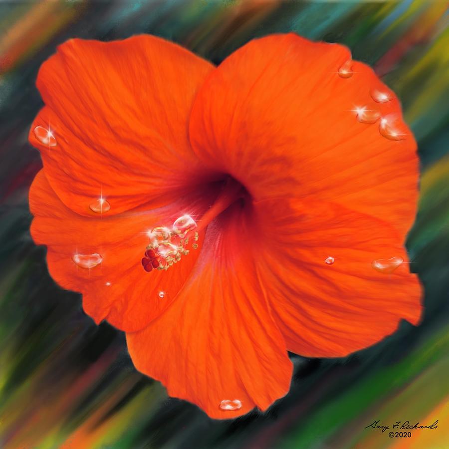 Raindrops On Orange Hibiscus Digital Art