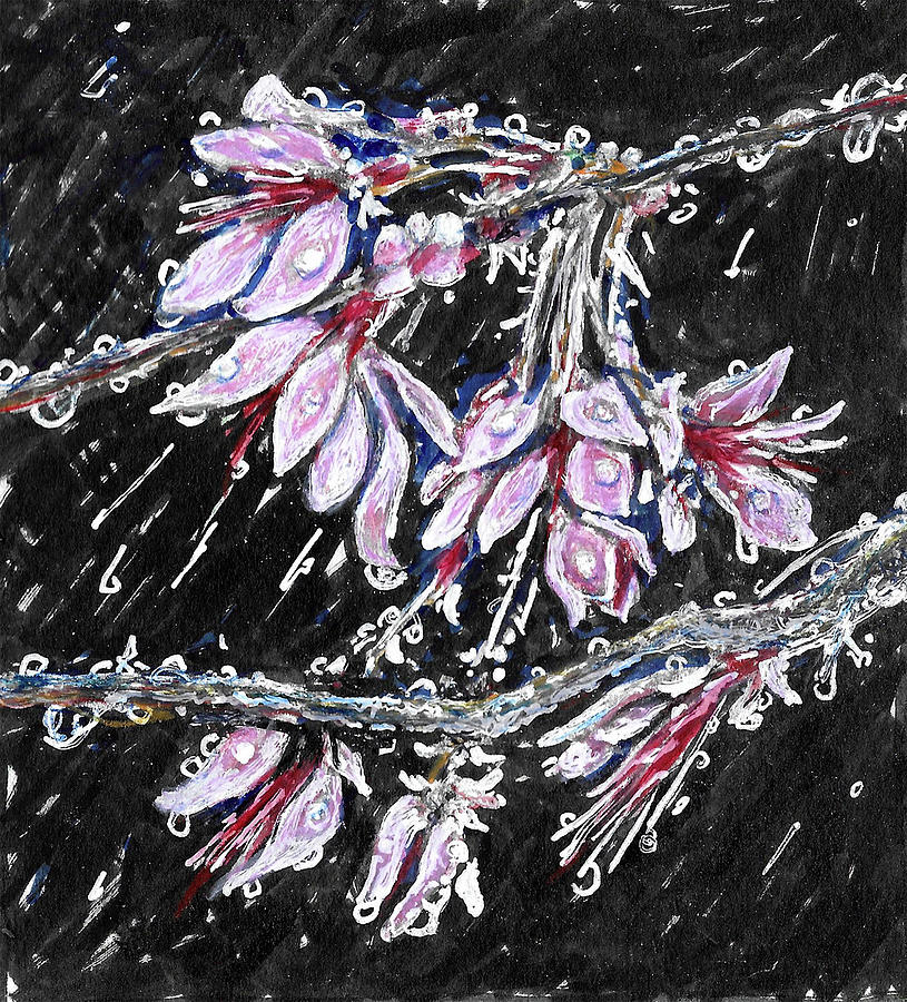 Raindrops on pink blossoms Painting by Thomas Hamm