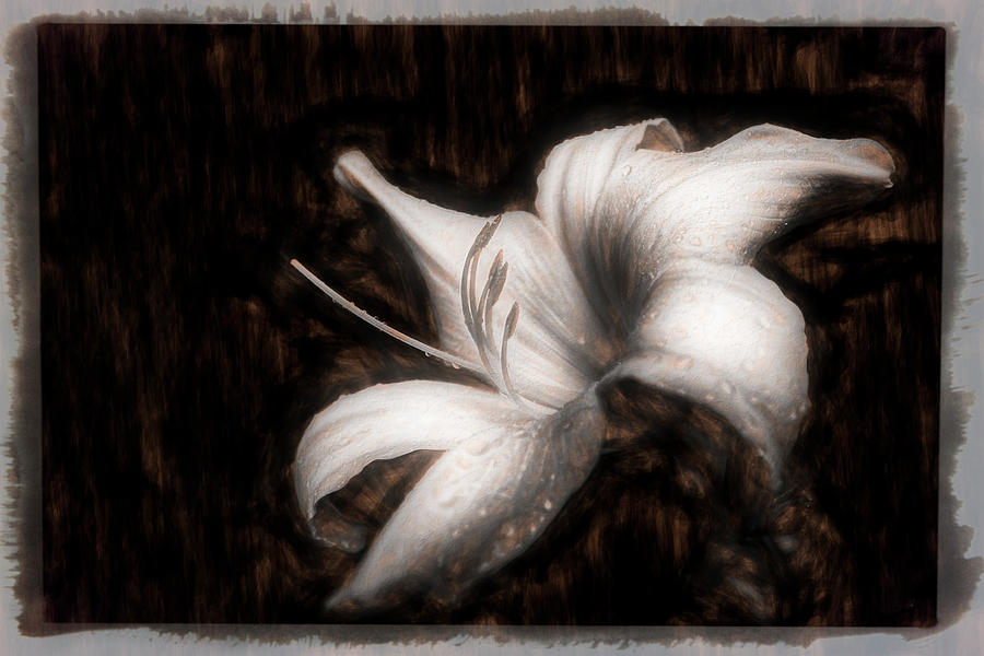 Raindrops on the Lilies Textured and Bordered Art Photograph by Debra and Dave Vanderlaan