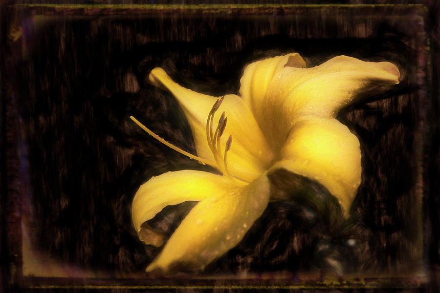 Raindrops on the Lilies with Textured Border Photograph by Debra and Dave Vanderlaan