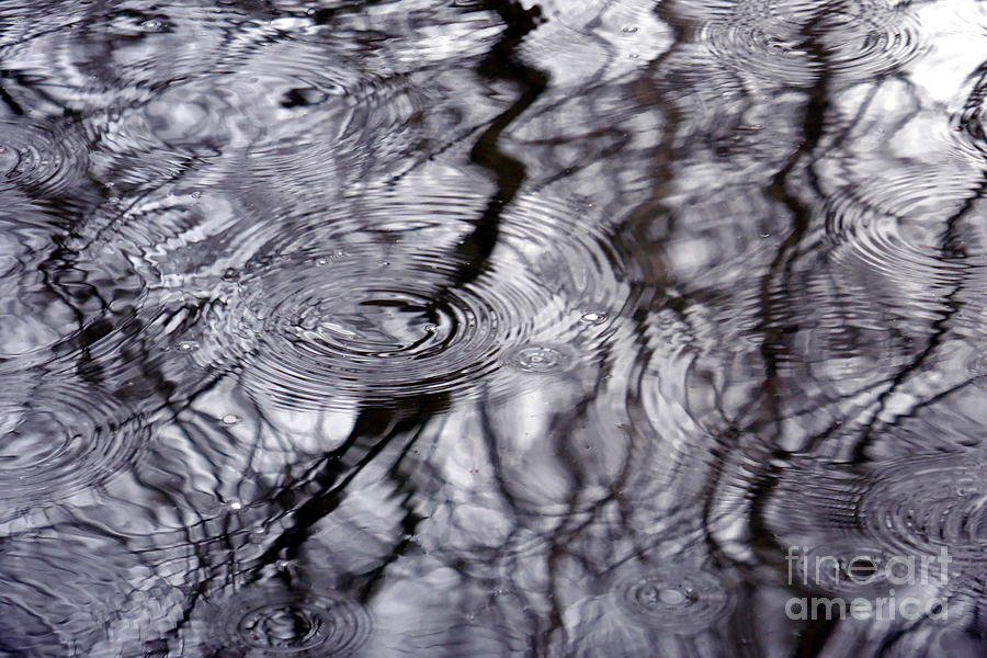 Raindrops, Ripples And Reflections 1 Photograph