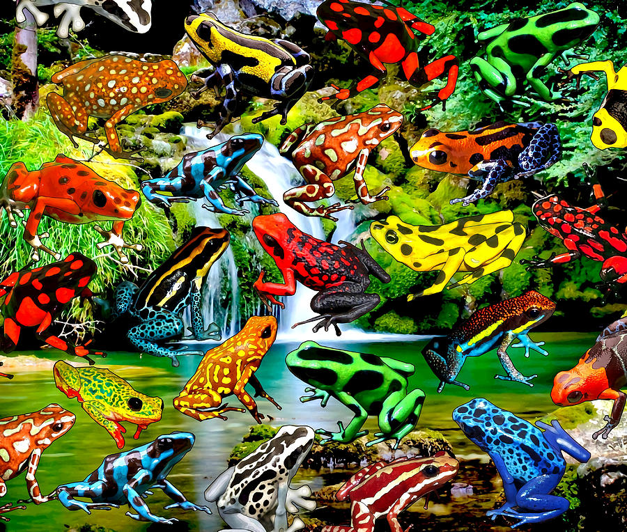 RAINFOREST FROGS Poster hipster Painting by Karl Davies | Fine Art America