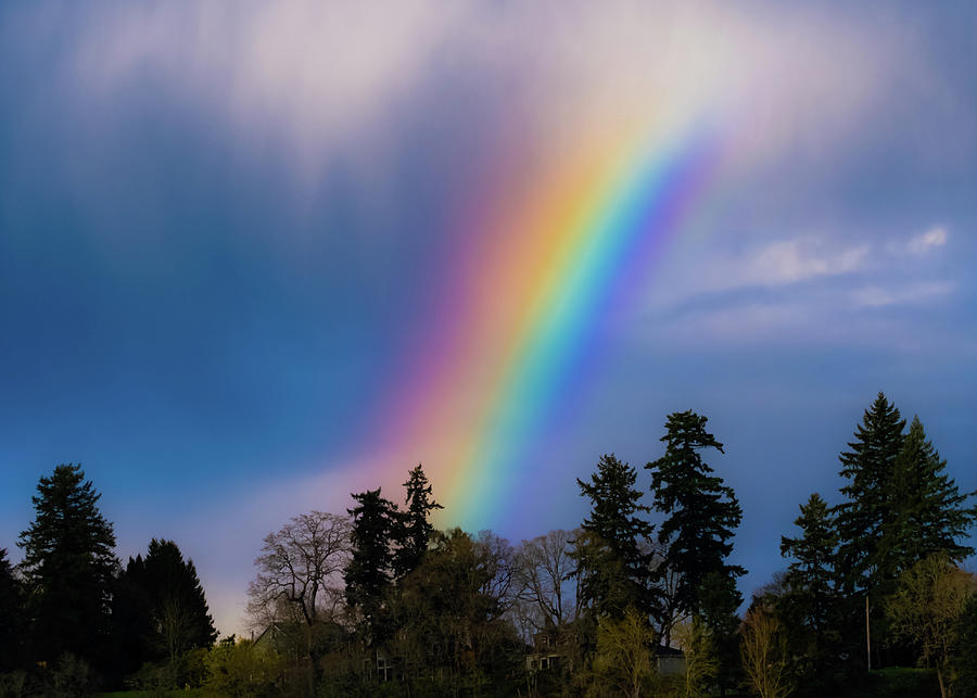 Raingbow after the storm Digital Art by Jonathan Swanson - Fine Art America