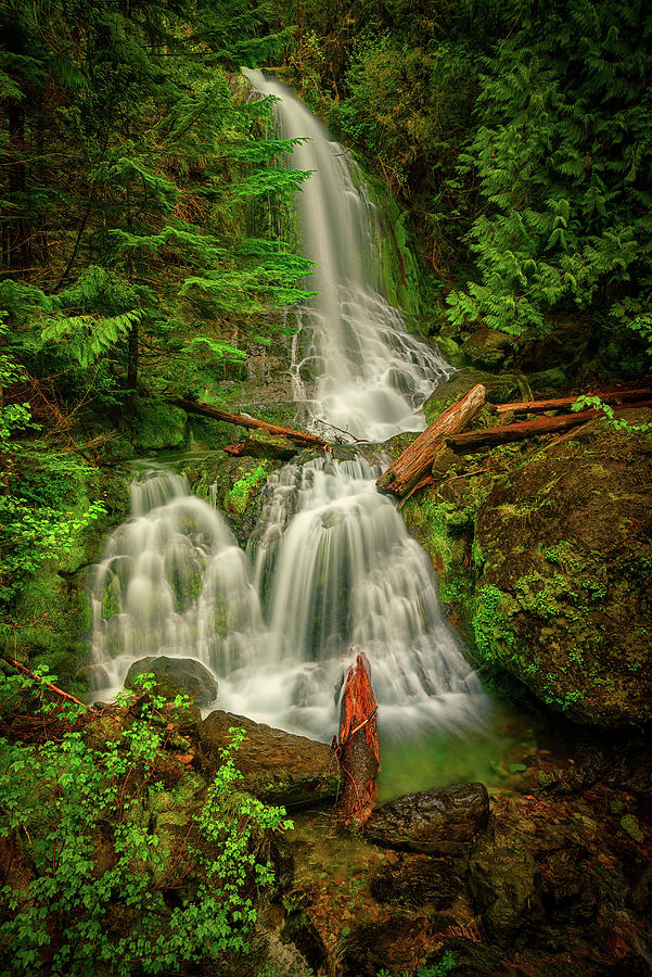 Rainier Falls Creek Falls Photograph