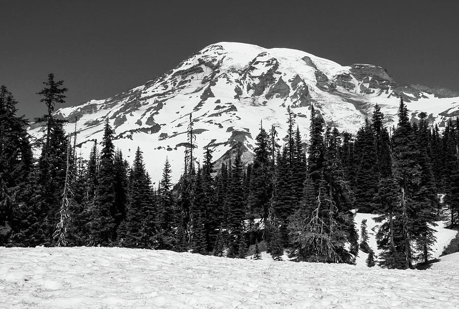 Rainier In Winter Black And White Photograph by Dan Sproul