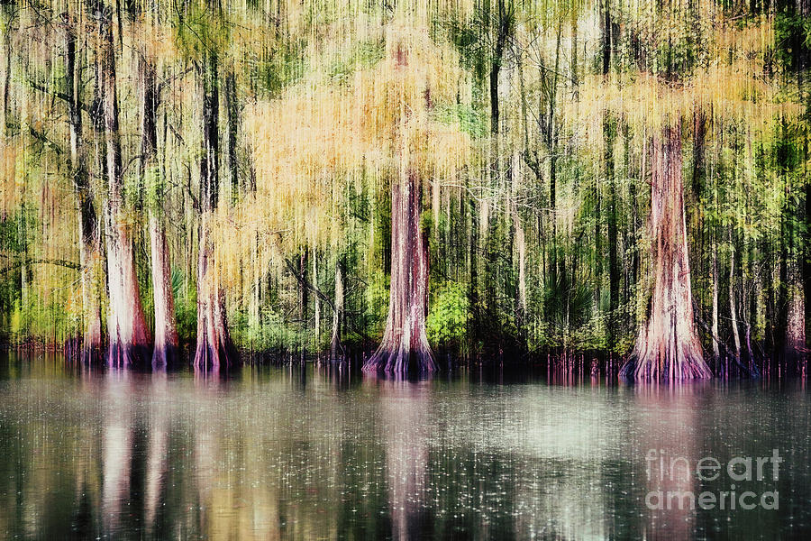 Raining on the Bayou Beginning of Fall - abstract Photograph by Scott Pellegrin