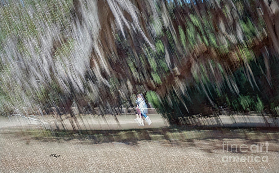 Raining Spanish Moss Photograph by DB Hayes