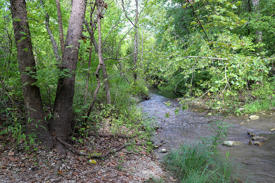 Momentary Flow Rain Runoffs Passing Whispers Photograph by Brigitte Blanchette Thompson Momentary Flow Rain Runoffs Passing Whispers Photograph by Brigitte Blanchette Thompson