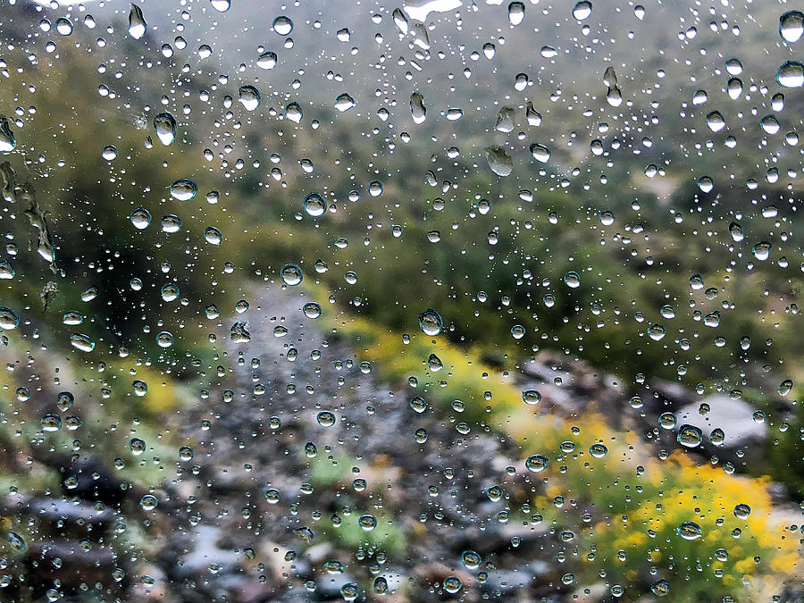 Rainy Abstract Photograph by Teresa Wilson