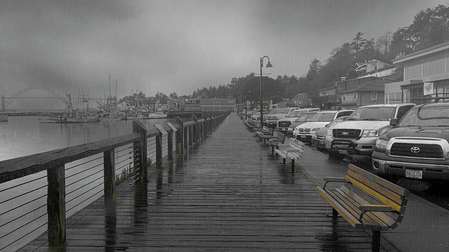 Rainy Bayfront Dock Photograph by Bill Posner