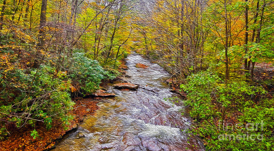 Rainy Day Autumn Stream Photograph by SCB Captures