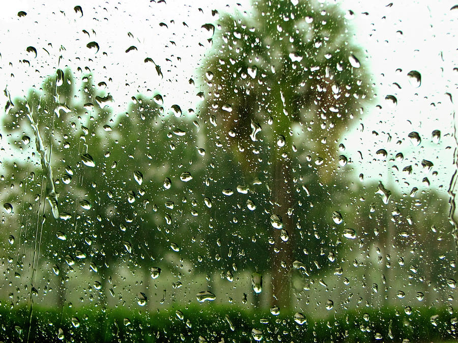 Rainy Day Photograph by Carolyn Marshall