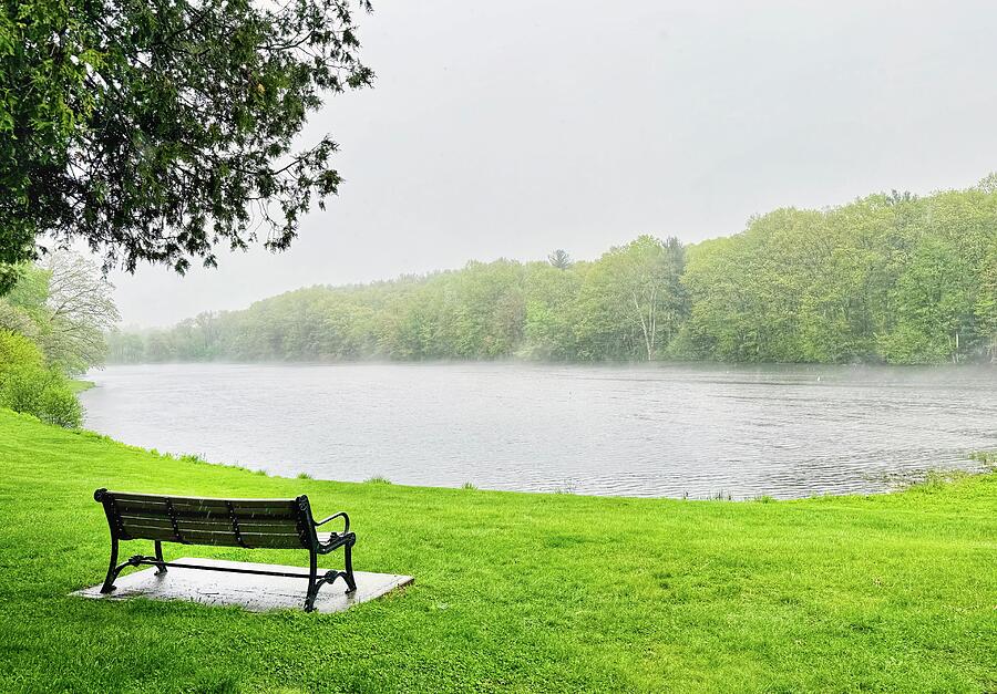 Rainy Day in Dean Park Photograph by Monika Salvan Rainy Day in Dean Park Photograph by Monika Salvan
