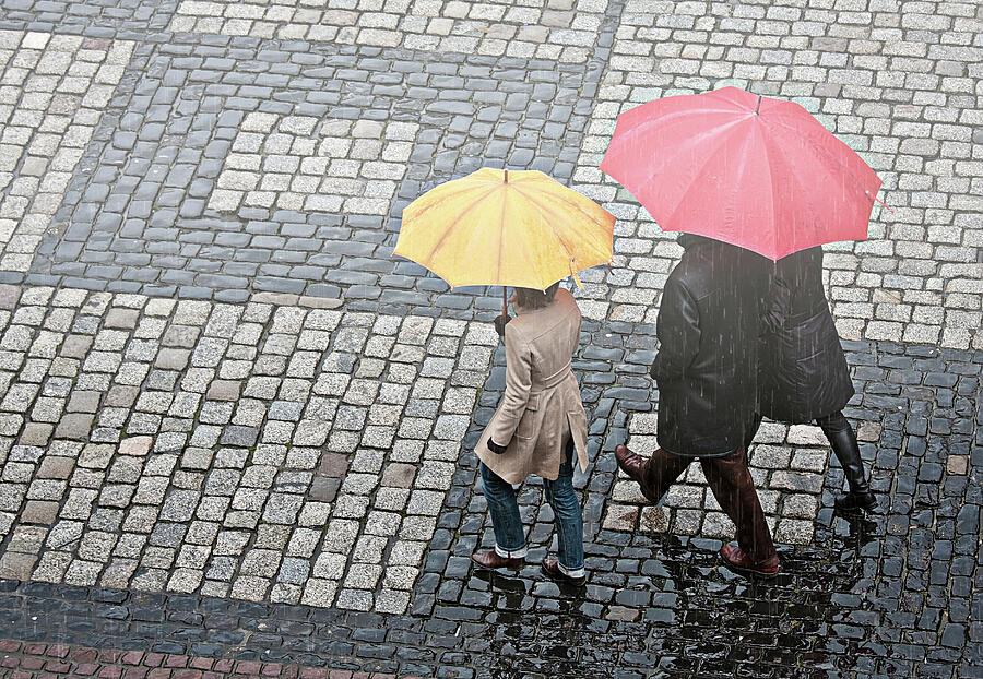Rainy day in Heidelberg Photograph by Tatiana Travelways