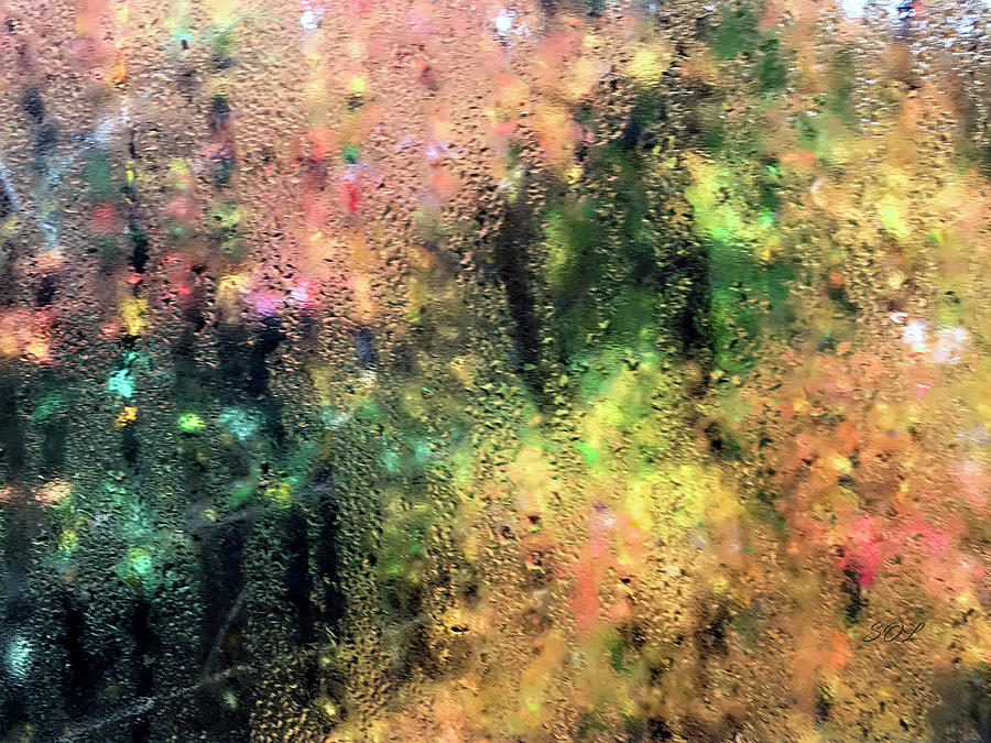 Rainy Fall Window View Through Condensation 2 Photograph by Sandi OReilly