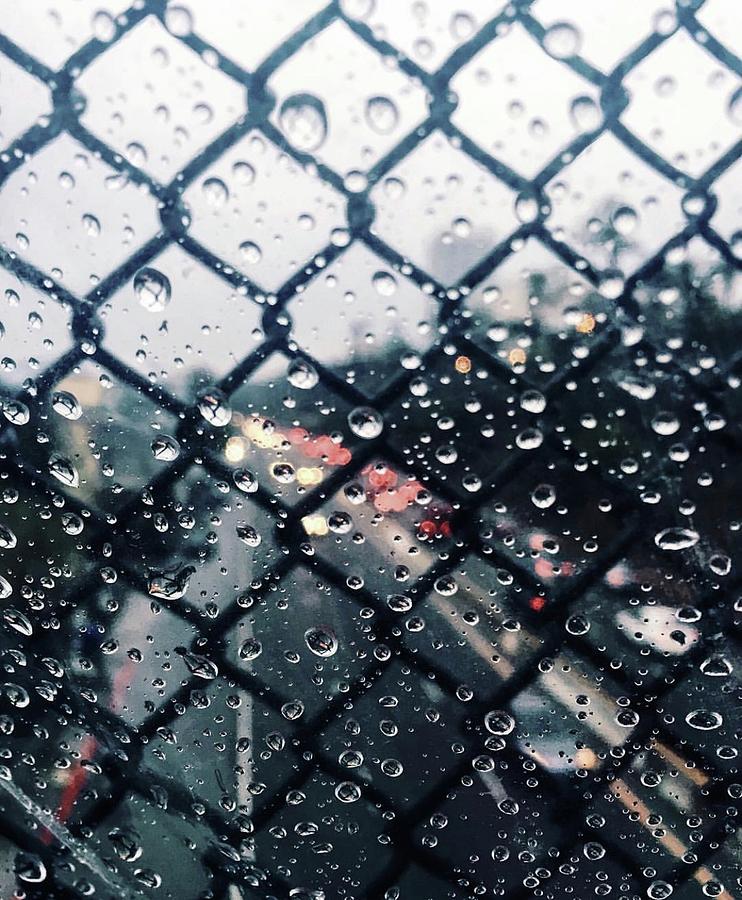 Santa Monica Photograph - Rainy Fence Perspective by Nicole Pedra