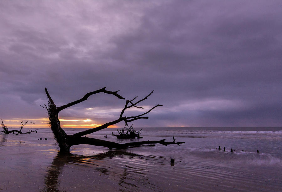 Rainy Morning  At Botany Bay Photograph by Douglas Wielfaert