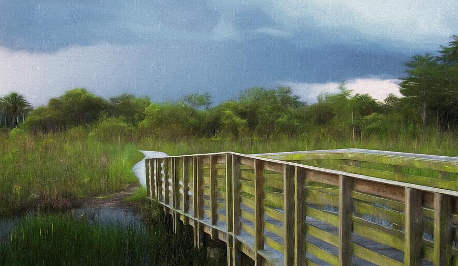 Rainy Morning at Pine Glades Natural Area Mixed Media by Steve DaPonte