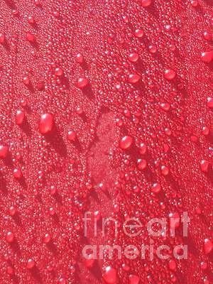Rainy Red Photograph by World Reflections By Sharon