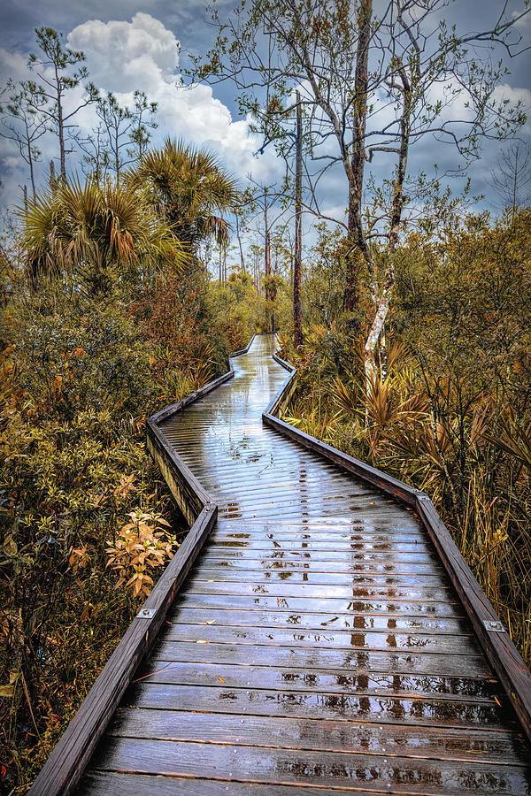 Rainy Reflections on the Boardwalk Trail in Autumn Photograph by Debra and Dave Vanderlaan