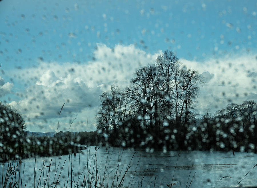 Rainy River View Photograph By Peggy McCormick - Pixels