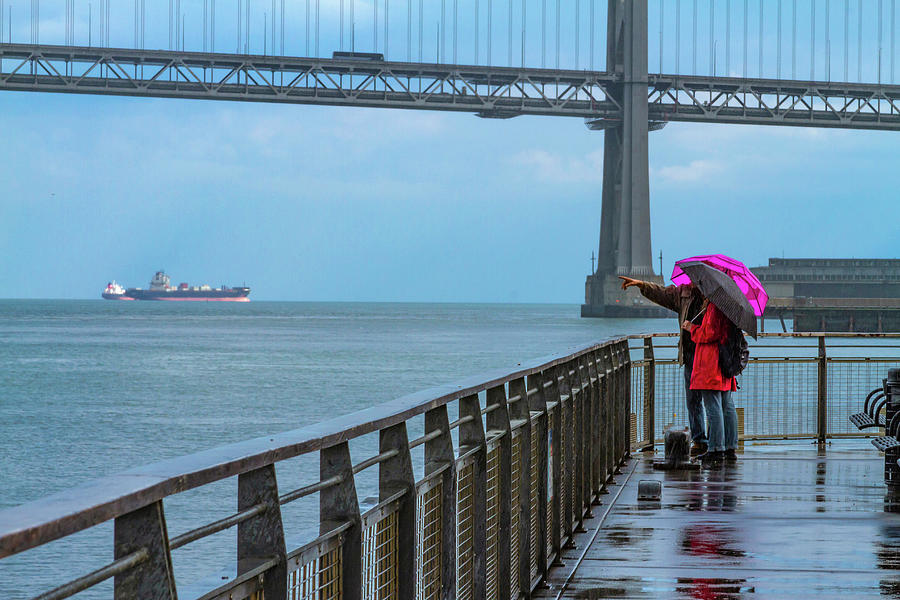 Rainy Waterfront Moment Photograph by Bonnie Follett