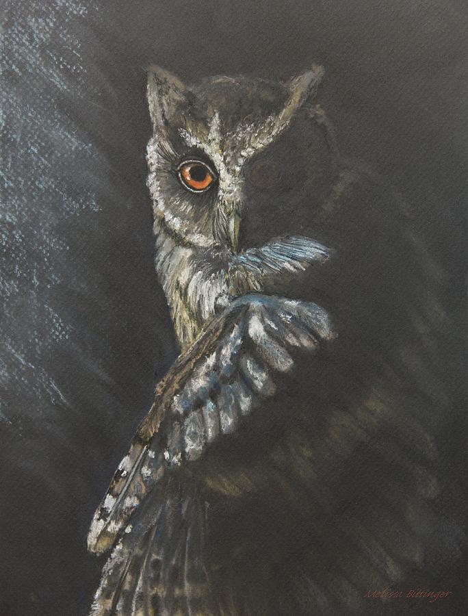 Rajah Scops Owl Pastel Drawing Pastel by Melissa Bittinger