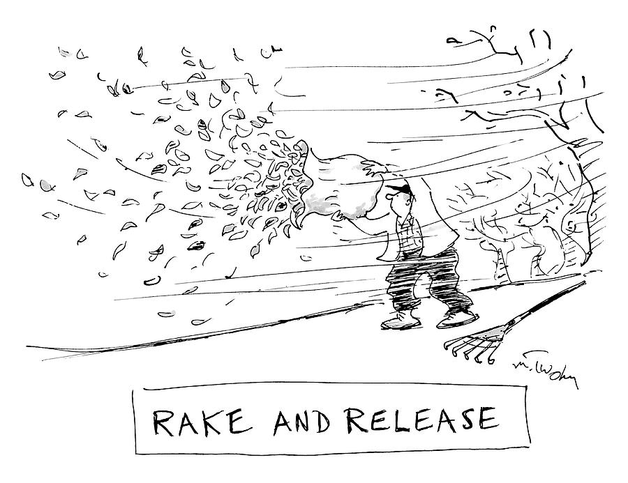 Rake and Release Drawing by Mike Twohy