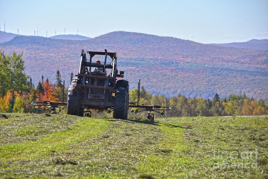 Raking Hay In Vermont Photograph