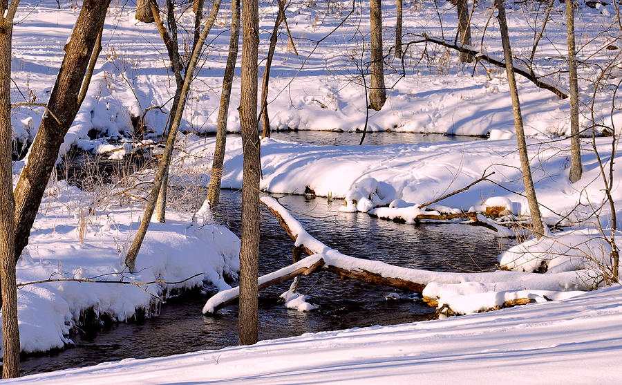 Raking Light at Big Rock Creek Photograph by Rick Hansen - Fine Art America