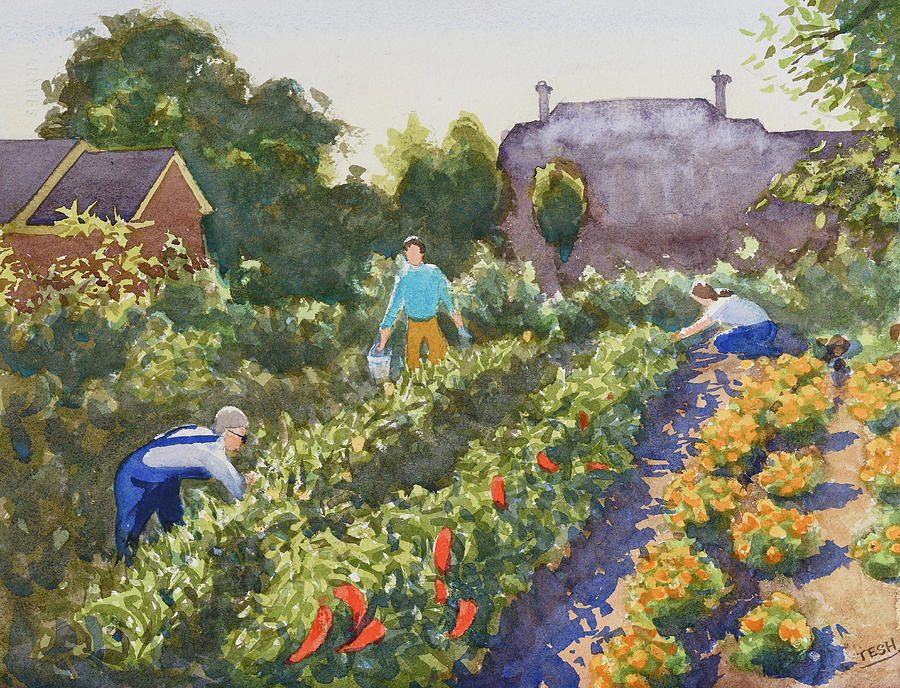 Raleigh City Farm Painting by Tesh Parekh