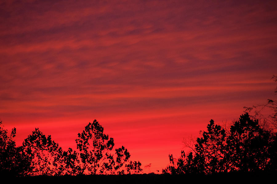 Ralls County Sunset Photograph by Steve Stuller