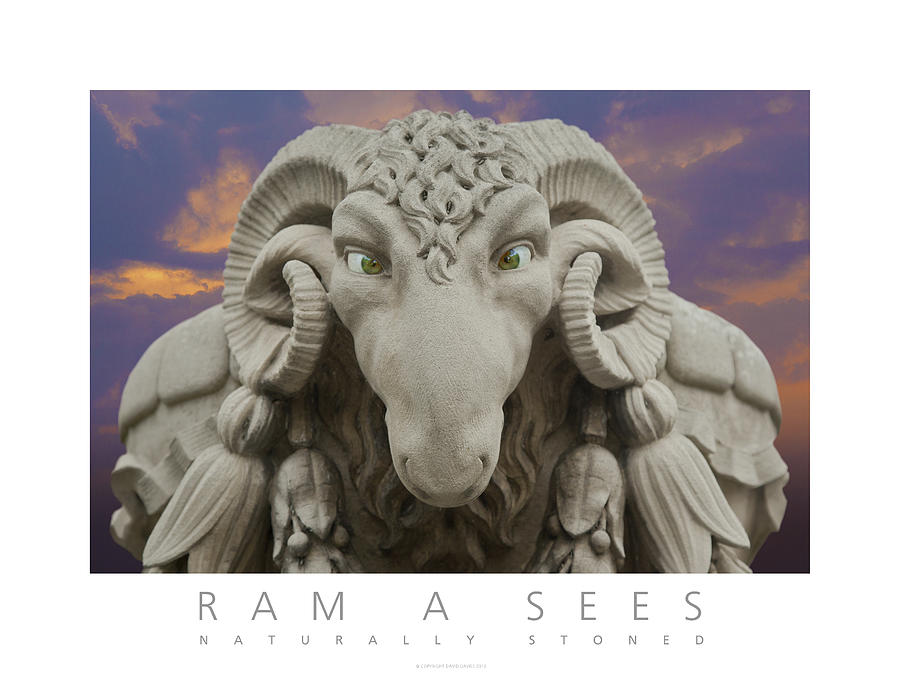 Ram A Sees Naturally Stoned Poster Digital Art by David Davies