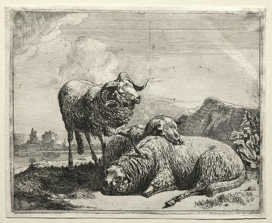 Ram and Two Sheep 1665 Johann Heinrich Roos Painting by MotionAge Designs