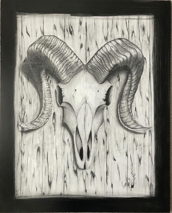 Ram Skull Drawing by Gregory Lee