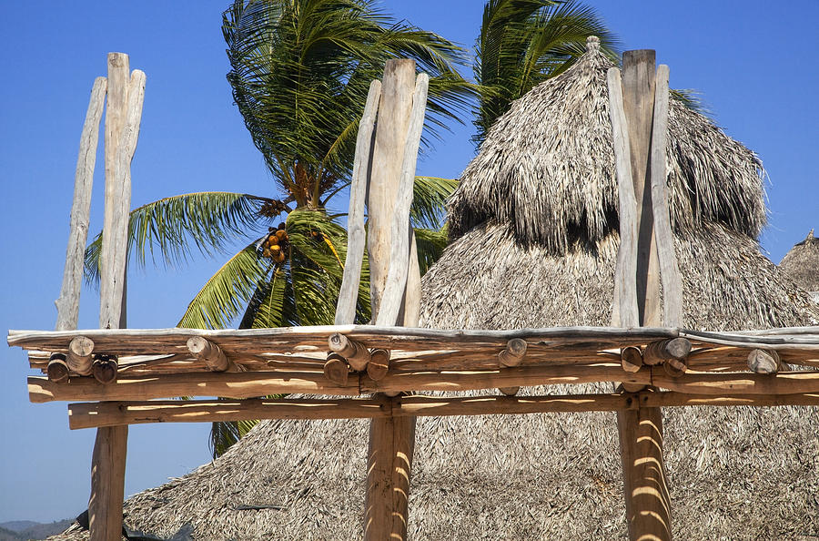 Ramada structure in foreground, thatched roof, coconut palm trees and blue sky beyond; Costalegre, Jalisco, Mexico Photograph by Timothy Hearsum