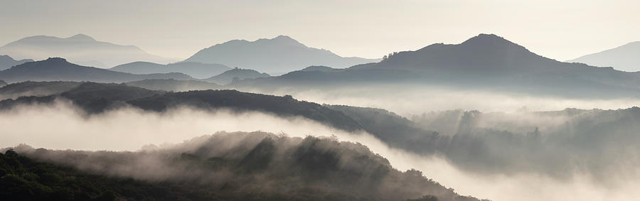 San Diego Photograph - Ramona Mountains Layered in Fog by William Dunigan