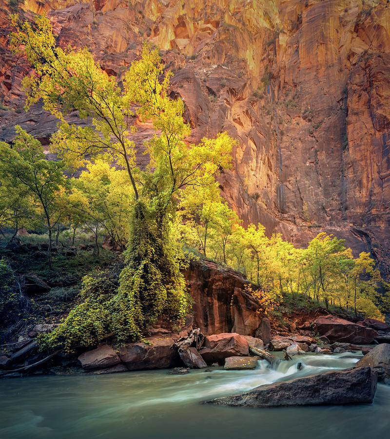 Zion National Park Photograph - Ramped Up by Slow Fuse Photography