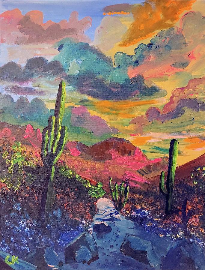 Rams Canyon Sunset, Oro Valley AZ Painting by Chance Kafka