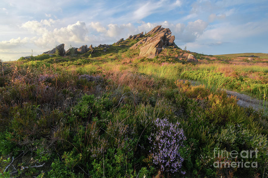 Ramshaw Rocks 17.0 Photograph by Yhun Suarez