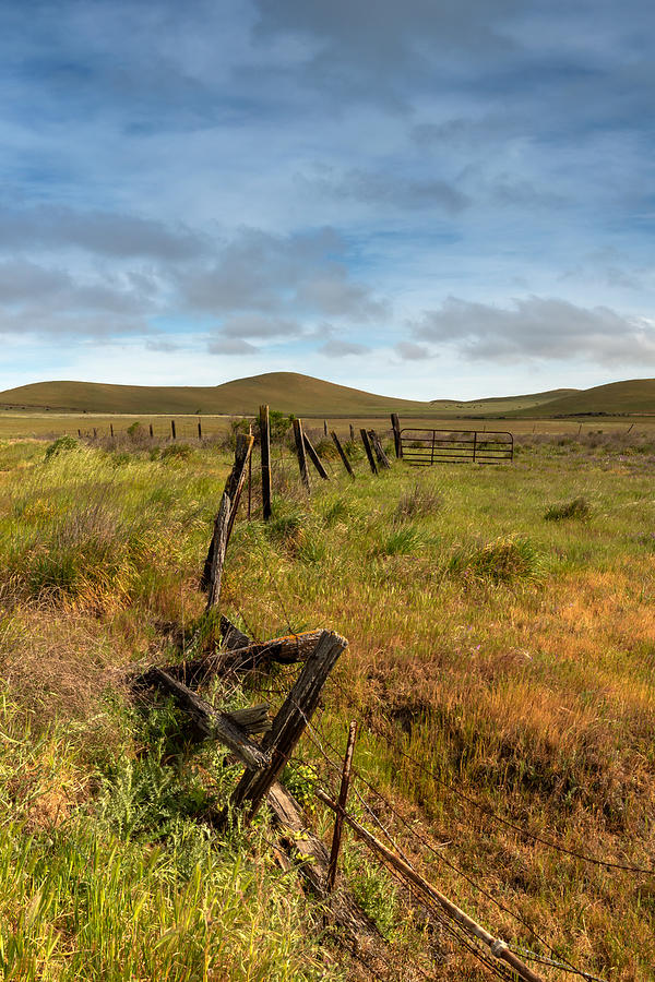 Ranch Fence, 2022 Photograph by Alessandra RC