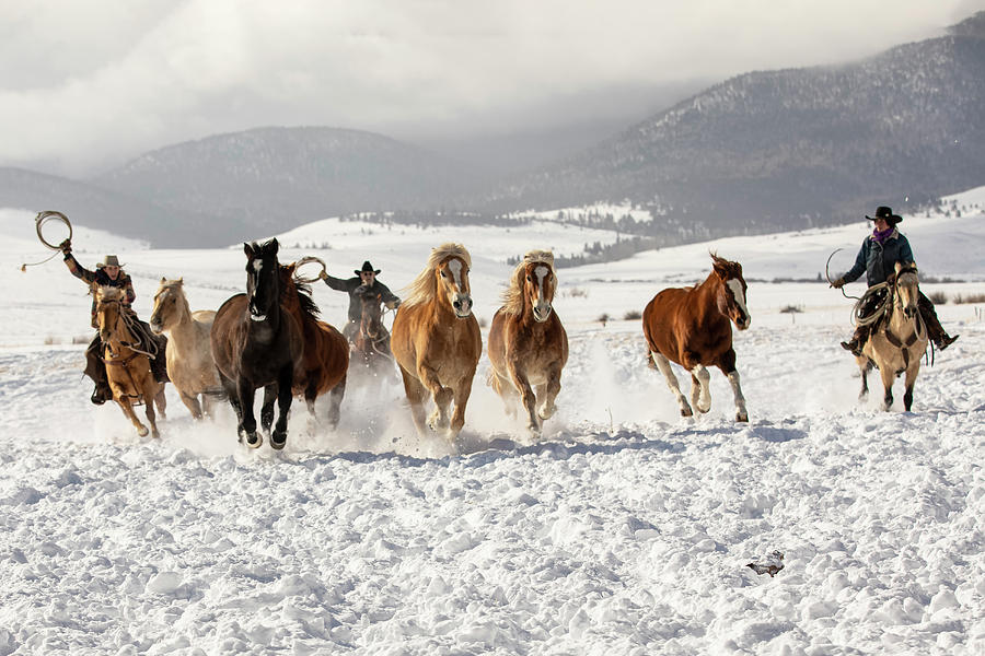 Ranch Horse Run Photograph by Dawn Key