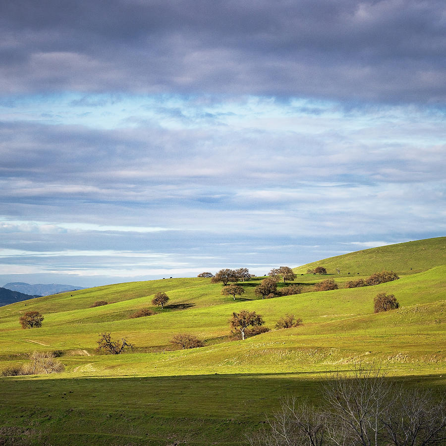 Ranch in San Miguel, California Photograph by Lars Mikkelsen
