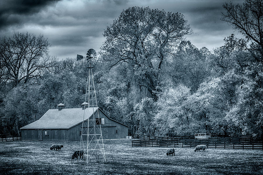 Ranch in Wildwood MO Cyanotype 2X3 GRK4259_10242020  Photograph by Greg Kluempers