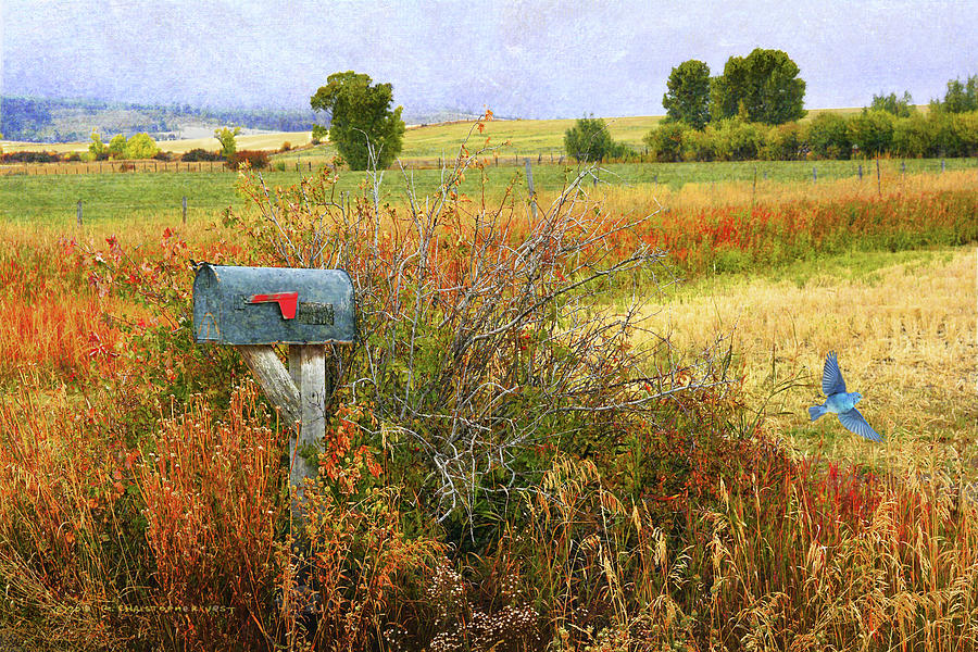 Landscape Photograph - Ranch Mailbox by Christopher Vest