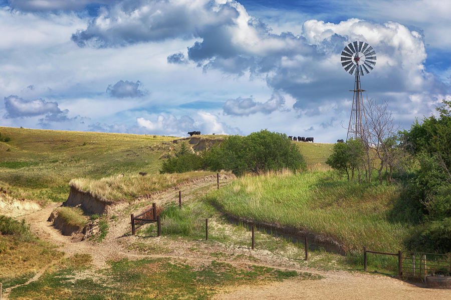 Ranching in the Sandhills  Photograph by Susan Rissi Tregoning