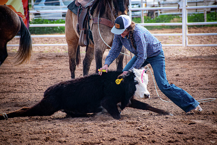 Ranching Photograph by Kelly Markus Ranching Photograph by Kelly Markus